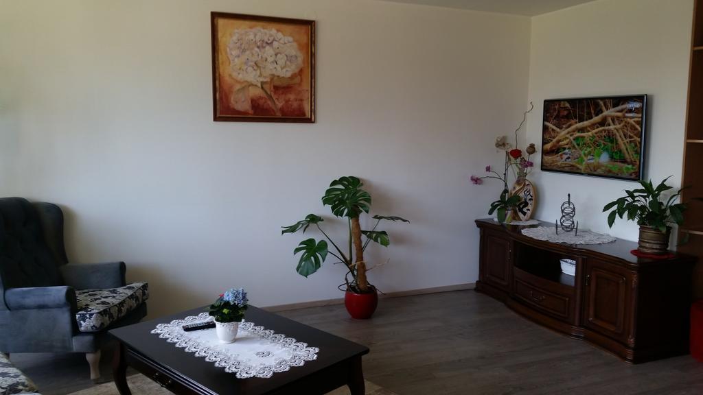 Family Apartment Nida Luaran gambar