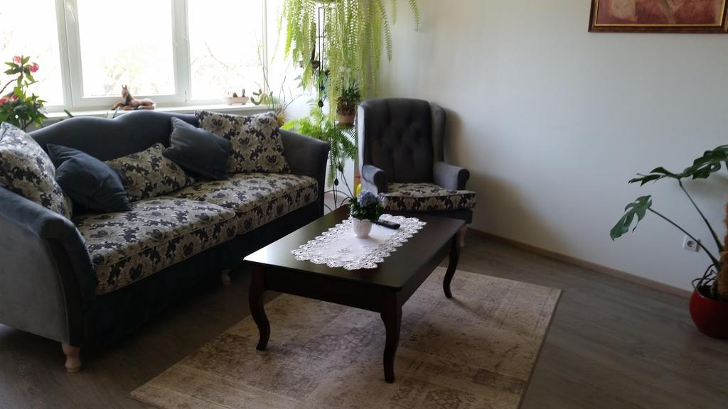 Family Apartment Nida Luaran gambar