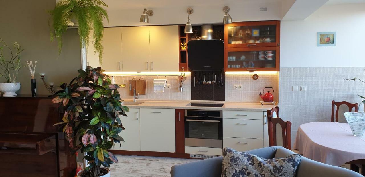 Family Apartment Nida Luaran gambar