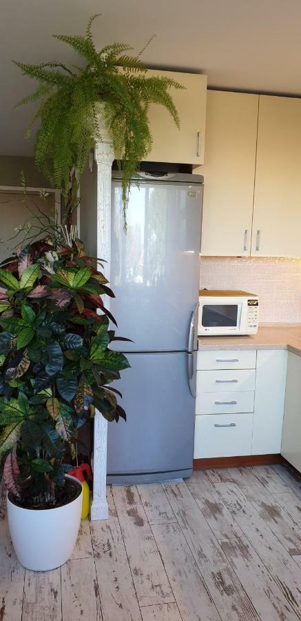 Family Apartment Nida Luaran gambar