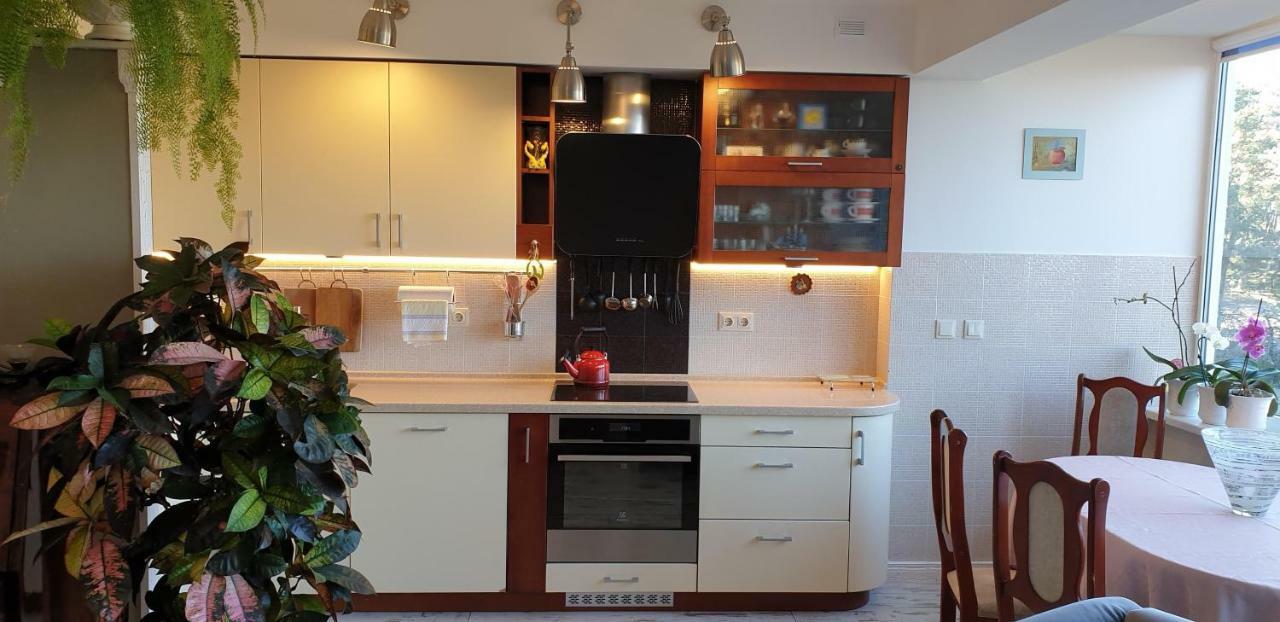 Family Apartment Nida Luaran gambar